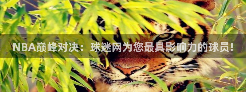 NBA巅峰对决：球迷网为您最具影响力的球员!